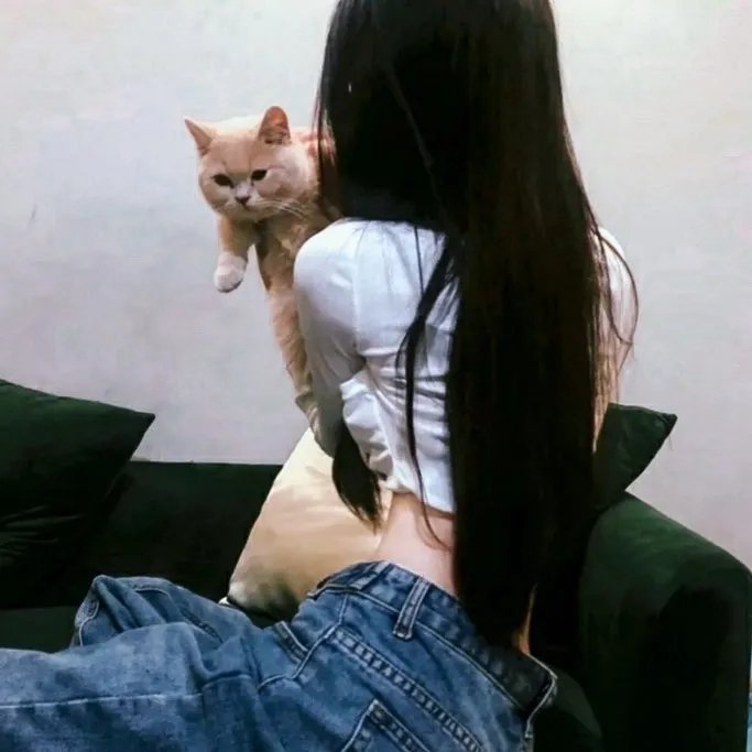 馅饼侦探 第四季