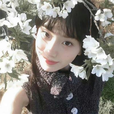 摇破天惊